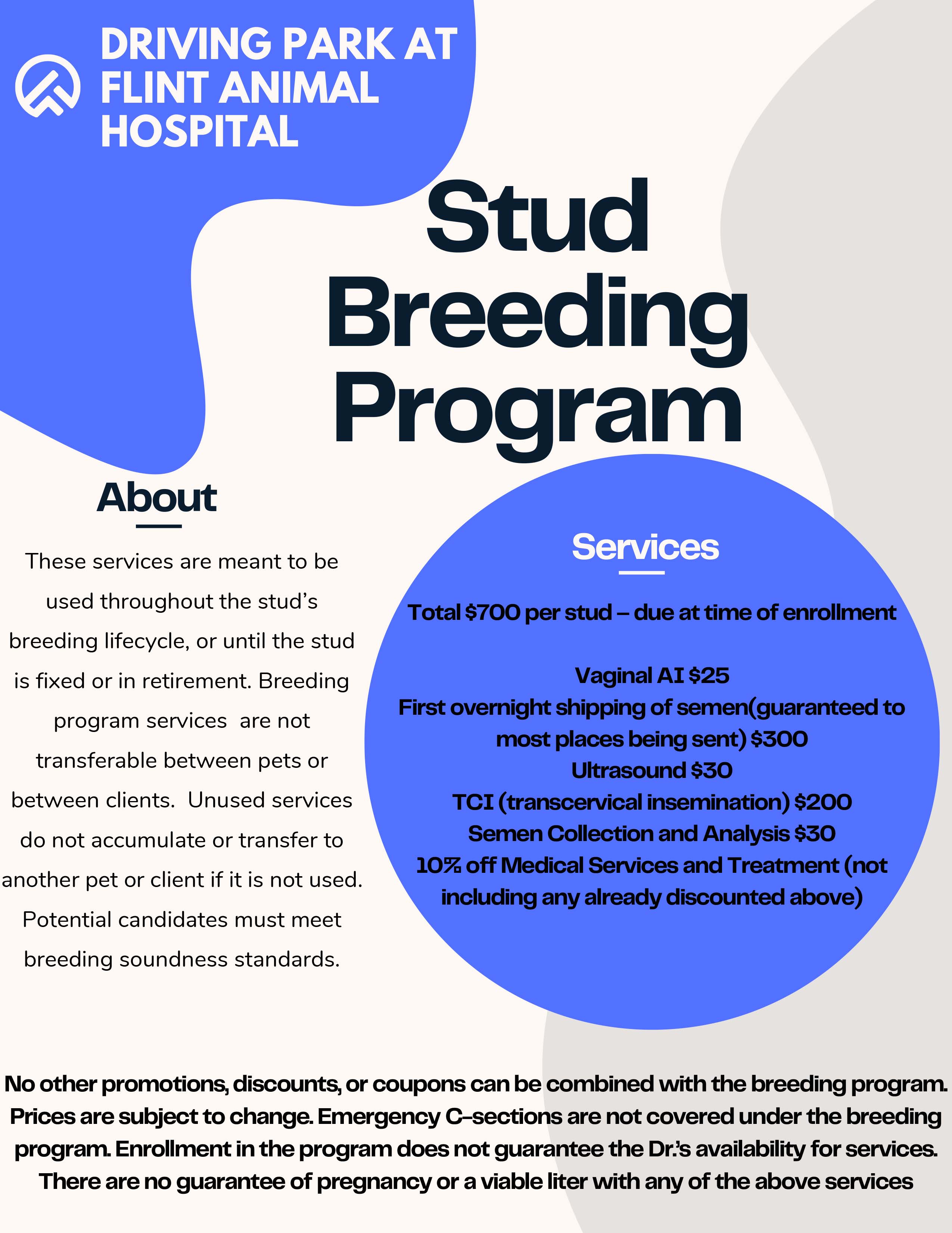 Stud breedinng program ad