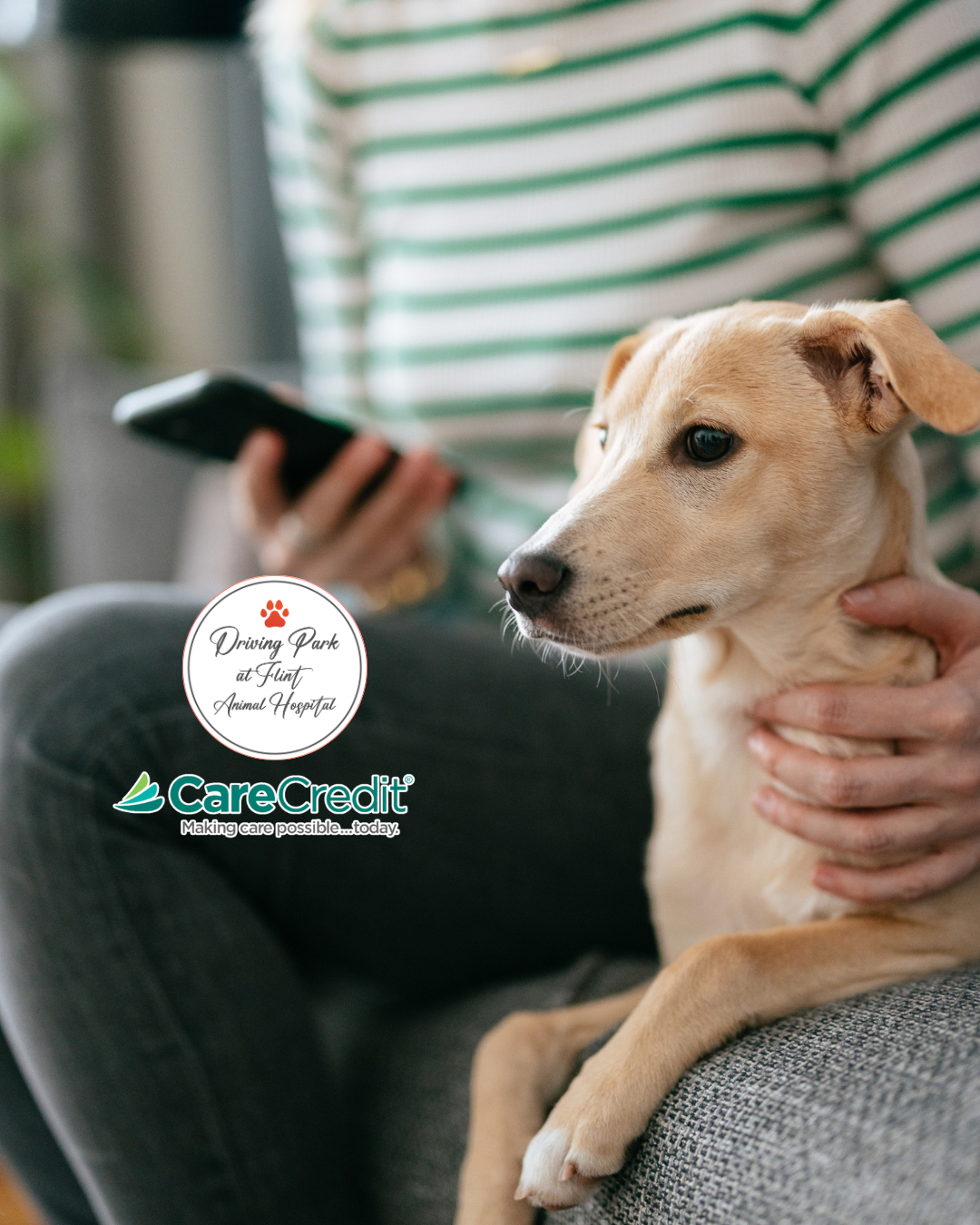Driving Park Animal Hospital care credit, Driving Park Animal Hospital icon