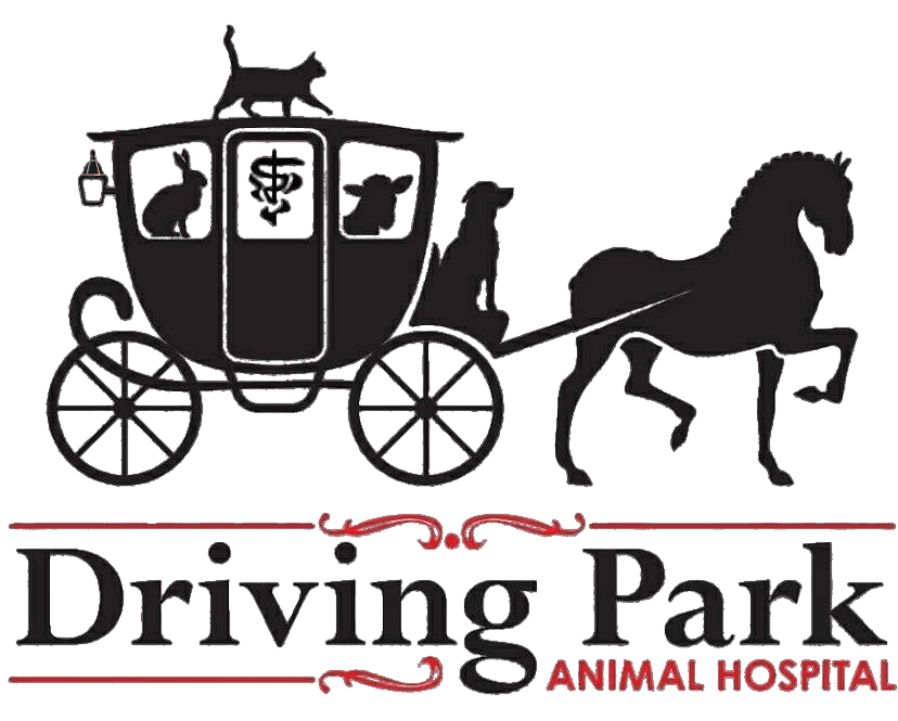Driving Park Animal Hospital logo