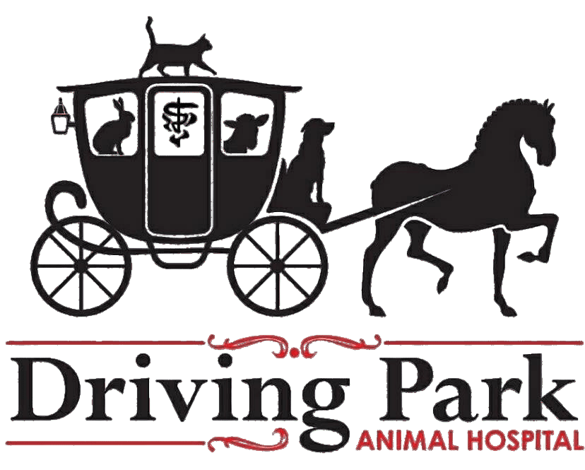 Driving Park Animal Hospital - Livingston Avenue - Columbus, Ohio Driving Park Animal Hospital - Livingston Avenue - Columbus, Ohio
